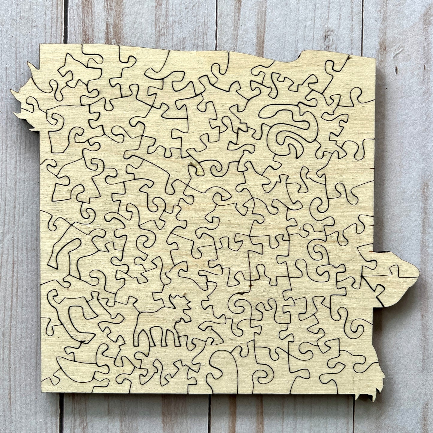 Painted Turtle Wooden Jigsaw Puzzle by Adolfo Valle